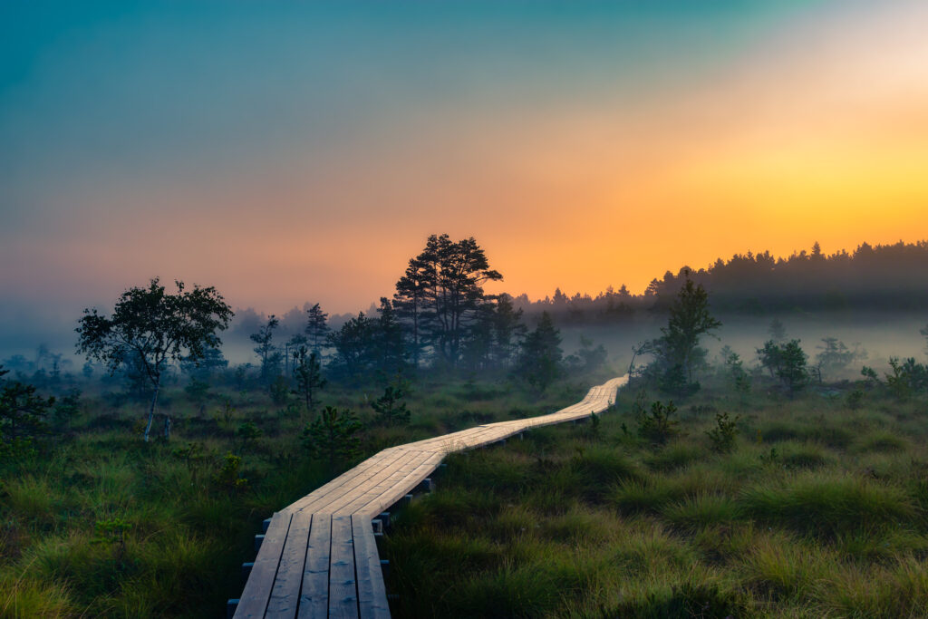 19373276085573.5c5f32a391868